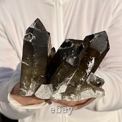 1.8LB Natural Tea black Crystal quartz Cluster Mineral Specimen Healing reiki