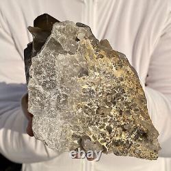 1.8LB Natural Tea black Crystal quartz Cluster Mineral Specimen Healing reiki