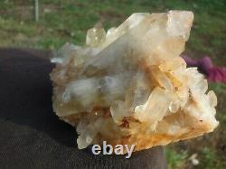1.9 LB Natural Citrine Quartz Crystal Cluster Specimen