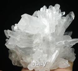 1.93lb Natural Beautiful White Quartz Crystal Cluster Point Mineral Specimen