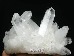 1.94lb Natural Beautiful White Quartz Crystal Cluster Point Mineral Specimen