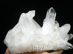 1.94lb Natural Beautiful White Quartz Crystal Cluster Point Mineral Specimen