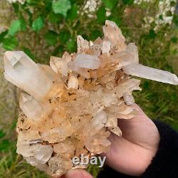 1.95LB Clear Natural Beautiful White QUARTZ Crystal Cluster Specimen