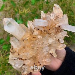 1.95LB Clear Natural Beautiful White QUARTZ Crystal Cluster Specimen