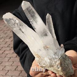 1.98LB Clear Natural Beautiful White QUARTZ Crystal Cluster Specimen