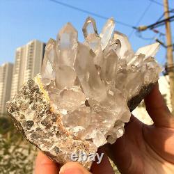 1.99LB Clear Natural Beautiful White QUARTZ Crystal Cluster Specimen