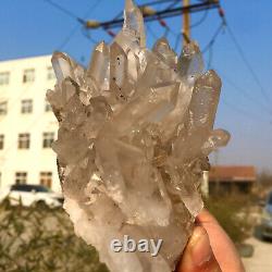 1.99LB Clear Natural Beautiful White QUARTZ Crystal Cluster Specimen
