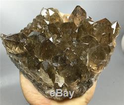 1.99lb New Find NATURAL Clear Golden RUTILATED QUARTZ Crystal Cluster Specimen