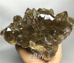 1.99lb New Find NATURAL Clear Golden RUTILATED QUARTZ Crystal Cluster Specimen