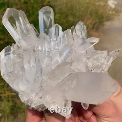 1.9LB Clear Natural Beautiful White QUARTZ Crystal Cluster Specimen
