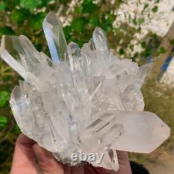 1.9LB Clear Natural Beautiful White QUARTZ Crystal Cluster Specimen