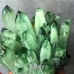 1.9lb Sparkling Green Quartz Crystal Cluster Rough Mineral Healing Specimen