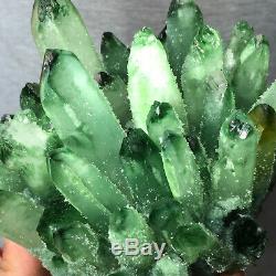 1.9lb Sparkling Green Quartz Crystal Cluster Rough Mineral Healing Specimen