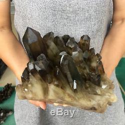 10.45LB Natural smokey CITRINE quartz cluster specimen crystal healing S6301-4