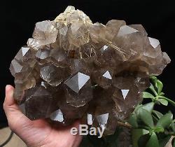 10.53lb New Find NATURAL Clear Golden RUTILATED QUARTZ Crystal Cluster Specimen