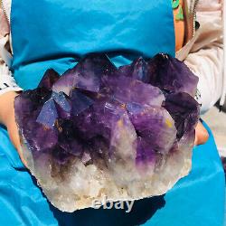 10.56LB Natural Amethyst Cluster Quartz Crystal Mineral Specimen Healing