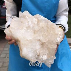 10.58LB Clear Natural Beautiful White QUARTZ Crystal Cluster Specimen HH1992
