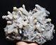 10.58lb Natural Clear Quartz Crystal Cluster Point&specular Hematite Specimen
