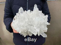 10.7LB Large Natural Clear Quartz Cluster Healing Crystal Point Mineral Specimen