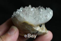 10 Natural Clear Quartz Crystal Cluster hedgehog Carved Head Sculpture Healing