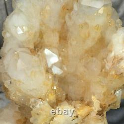 1010g Large Natural Clear White Quartz Crystal Cluster Rough Healing Specimen
