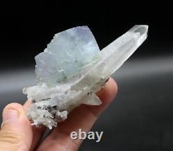 103.5g Newly discovered natural rare crystal cluster + blue Phantom fluorite