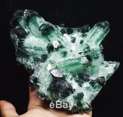 1038g New Find Beatiful Green Tibetan Phantom Quartz Crystal Cluster Specimen