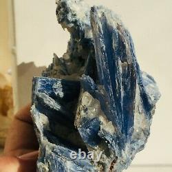 1039g Natural Blue Kyanite Quartz Crystal Cluster Gemstone Specimen Healing
