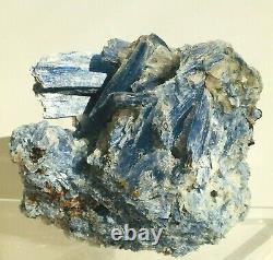 1039g Natural Blue Kyanite Quartz Crystal Cluster Gemstone Specimen Healing