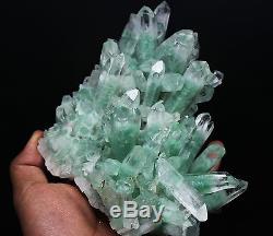 1065g AAA Clear Natural Green Ghost pyramid QUARTZ Crystal Cluster Specimen