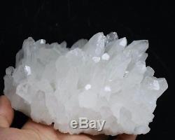 1075g Clear Natural Beautiful White Quartz Crystal Cluster Mineral Specimen