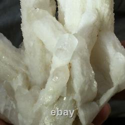 1088g Large Natural Clear White Quartz Crystal Cluster Rough Healing Specimen