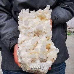 11.04LB Natural white Quartz Pineapple Cluster Mineral Crystal Specimen Healing