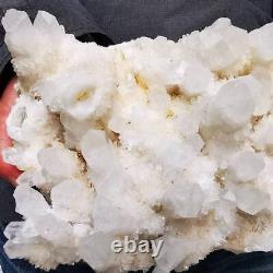 11.04LB Natural white Quartz Pineapple Cluster Mineral Crystal Specimen Healing