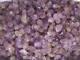 11.0lb Small Amethyst Quartz Crystal Cluster Points Wholesale