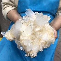 11.22LB Clear Natural Beautiful White QUARTZ Crystal Cluster Specimen