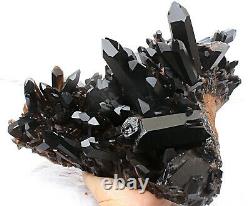 11.75lb Rare Natural Black QUARTZ Crystal Cluster Mineral Specimen