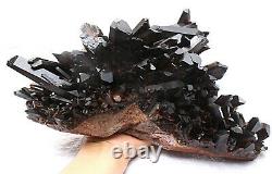 11.75lb Rare Natural Black QUARTZ Crystal Cluster Mineral Specimen