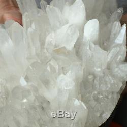 11.9lb Large Natural Clear White Quartz Crystal Cluster Rough Healing Specimen