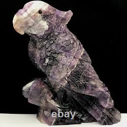 1110gNatural quartz crystal cluster mineral specimen. Amethyst. Hand-carved. Parrot