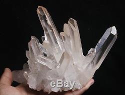 1150g AAA Clear Natural Beautiful White QUARTZ Crystal Cluster Specimen