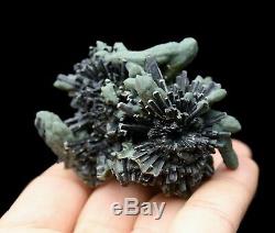 115g Rare! Beauty Green Crystal Cluster & Ilvaite Mineral Specimen/China