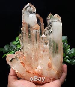 1180g Clear Natural Beautiful White QUARTZ Crystal Cluster Specimen
