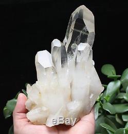 1180g Natural Crystal clear Beautiful White QUARTZ Crystal Cluster Specimen