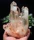 1180g New Find Clear Natural Pink Quartz Crystal Cluster Original Specimen