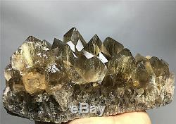 1185g NATURAL Clear Golden RUTILATED QUARTZ Crystal Cluster POINT Specimen