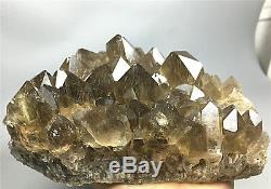 1185g NATURAL Clear Golden RUTILATED QUARTZ Crystal Cluster POINT Specimen