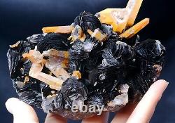 1199g Natural Yellow Crystal Cluster & Flower Shape Specularite Mineral Specimen