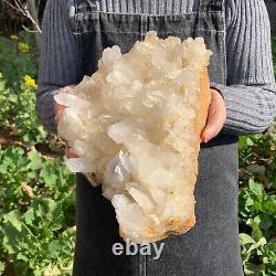 12.1 LB Natural Clear Quartz Cluster Crystal Mineral Point Healing TQS7574