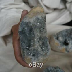 12.44LB 4Pcs Natural Baby Blue Celestite Quartz Crystal Geode Cluster Brazil